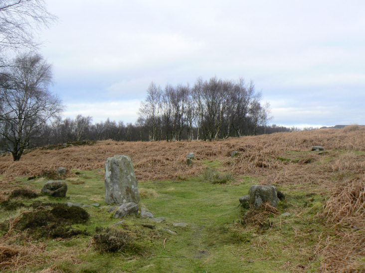 Stoke Flat stone circle Stoke Flat stone circle